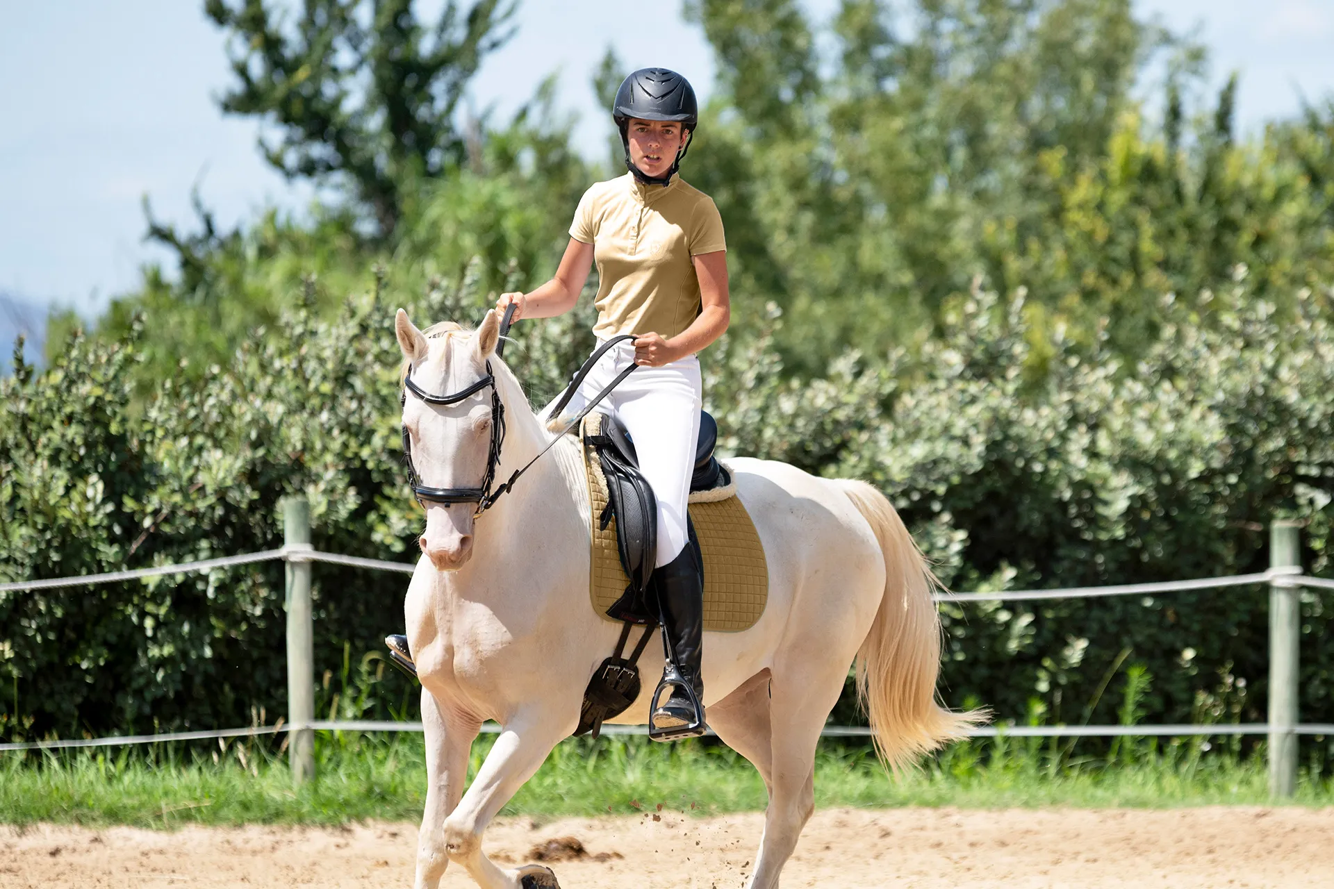 Escuela de equitación Centro Ecuestre As Leiras